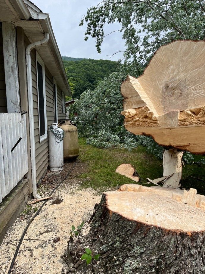 A partially cut tree trunk next to a house with a propane tank, debris on the ground, and a green mountain in the background.