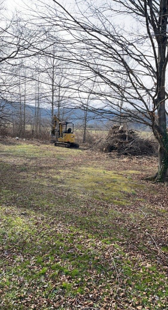 Yellow bulldozer in a field clearing land with piles of brush, trees in background.
