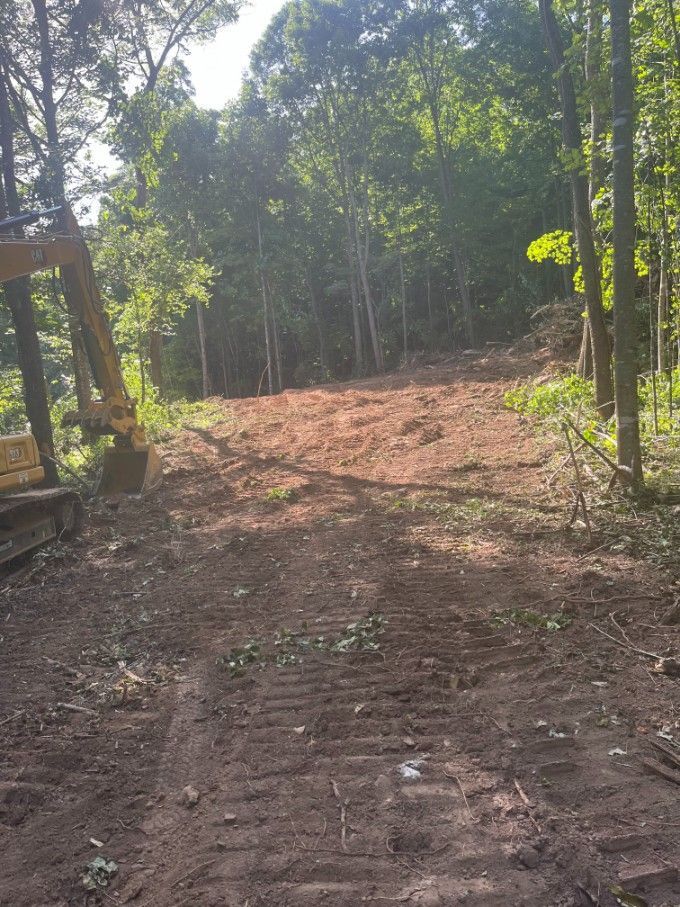 A dirt path cleared through a forest by heavy machinery. Trees line the sides; bright sunlight.
