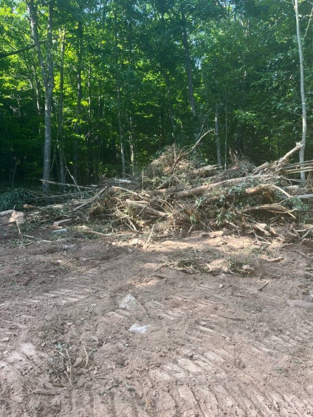Pile of wood debris on dirt in a wooded area, trees in the background.
