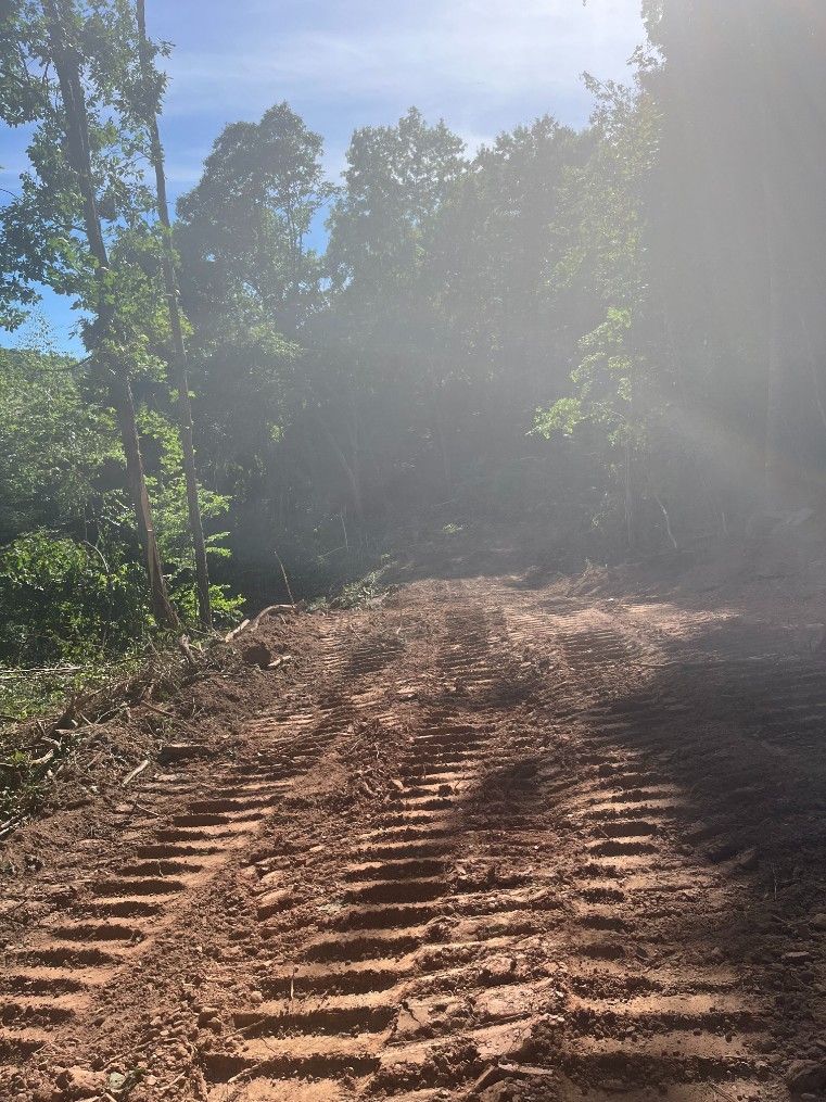 Muddy road with bulldozer tracks leading toward a cleared area and trees under a sunny sky.