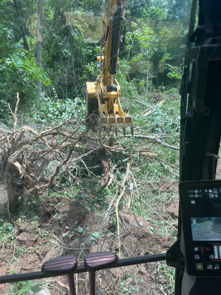 Yellow excavator removing tree roots in a wooded area; view from inside the cab.