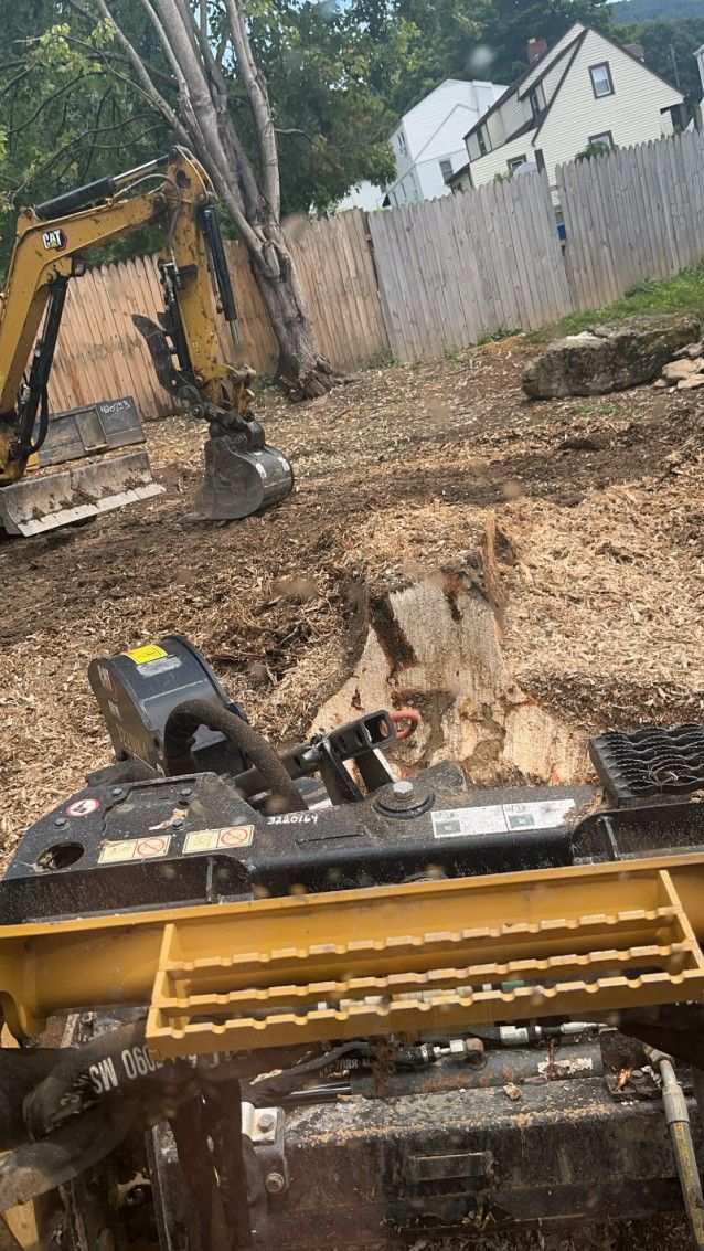 Excavator removing tree stump in a yard, yellow and black machinery in operation.