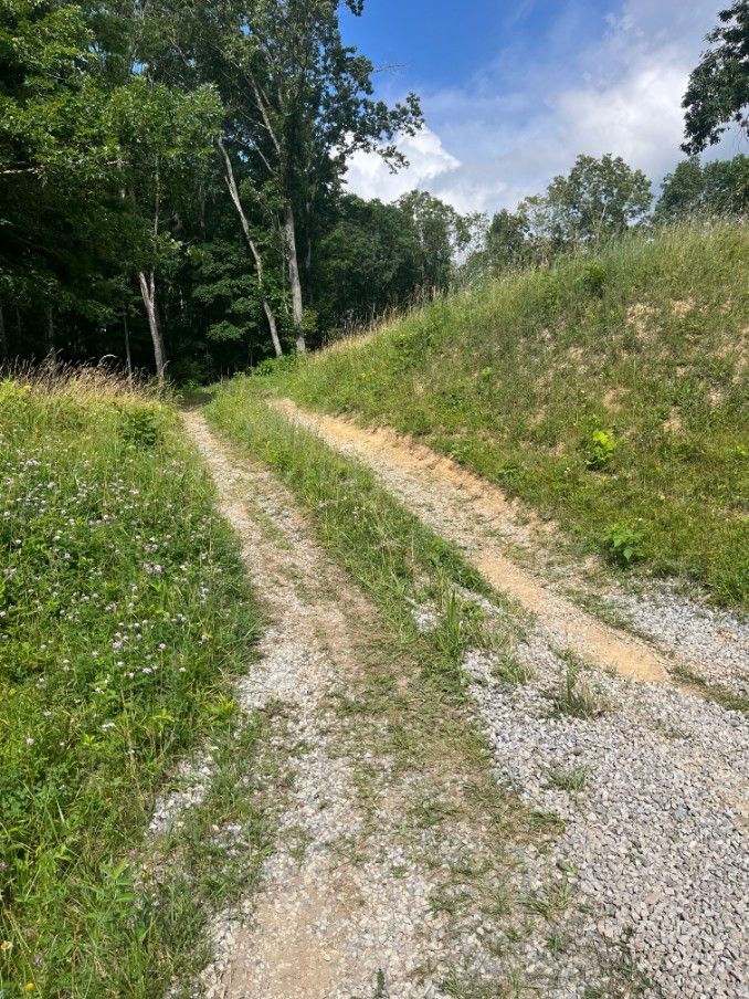 Gravel path through grassy field and trees on a sunny day.