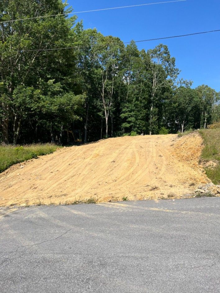 Sandy, graded driveway leading up to trees on a sunny day.