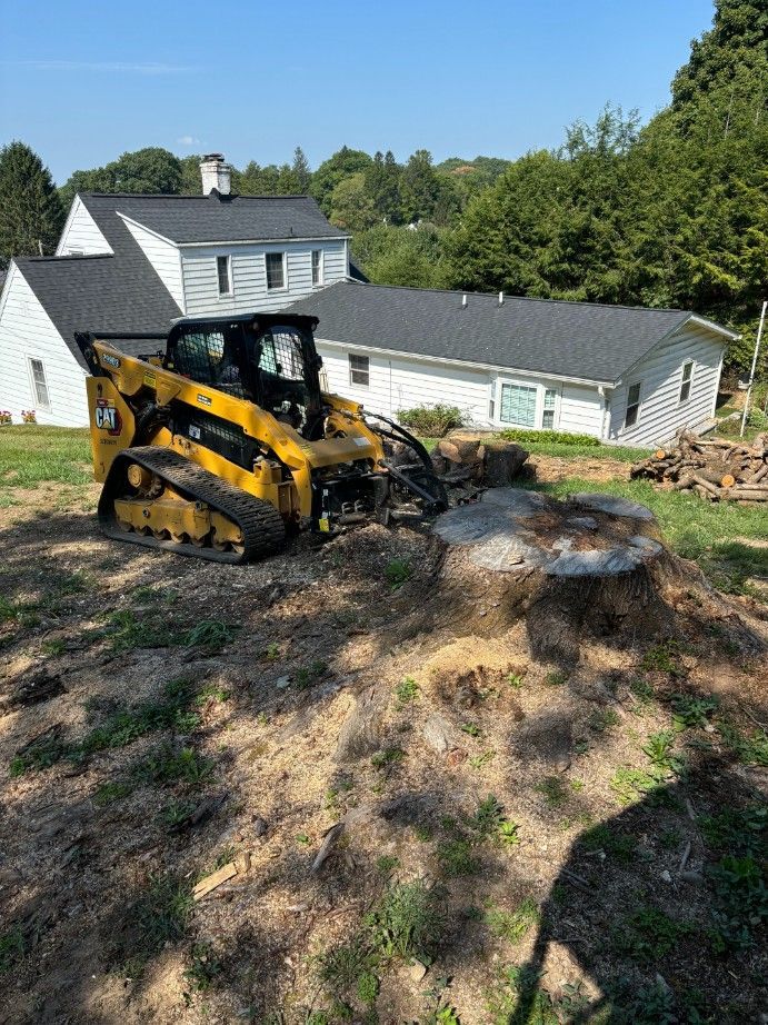 Yellow skid steer grinding a tree stump in front of a white house on a sunny day.