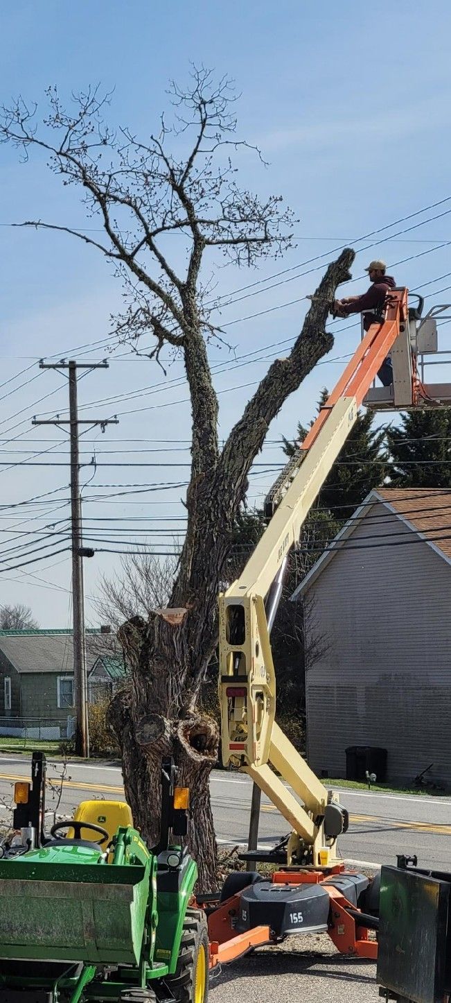 Tree trimming with a boom lift near power lines, street, and residential buildings.