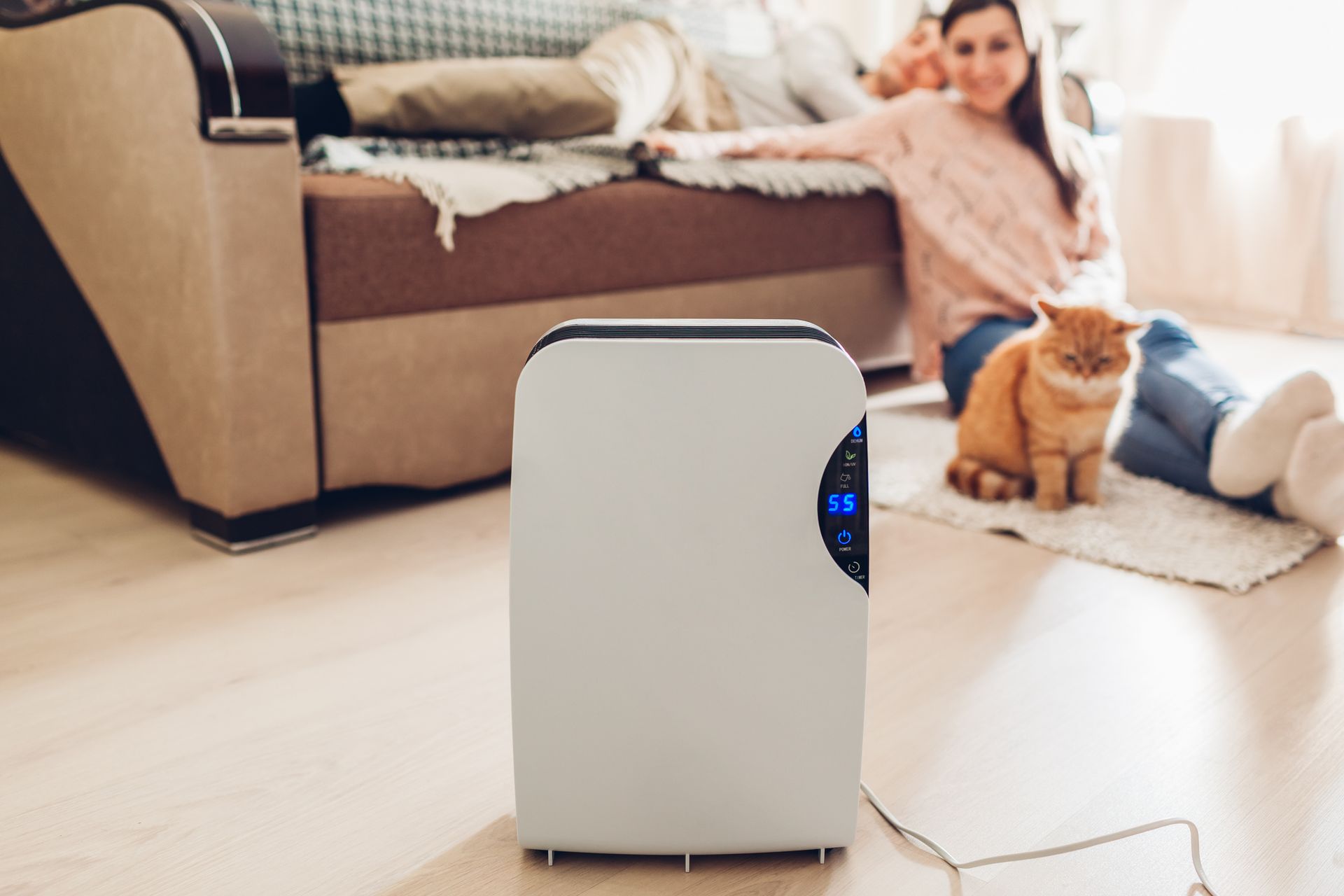 Whole-home dehumidifier and indoor air quality system helping control humidity in Houston, Texas.