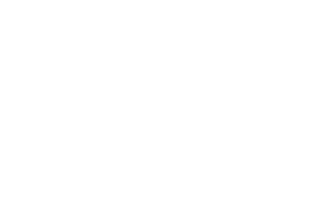 Nowlin Anders funeral home logo in white