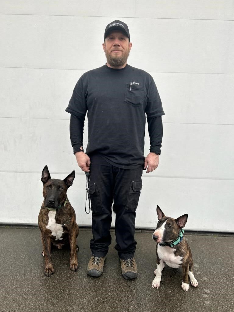 Man standing between two seated dogs in front of a white wall, all wearing dark gear.