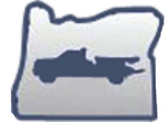 Blue outlined icon of a white pillow with a dark airplane silhouette on it