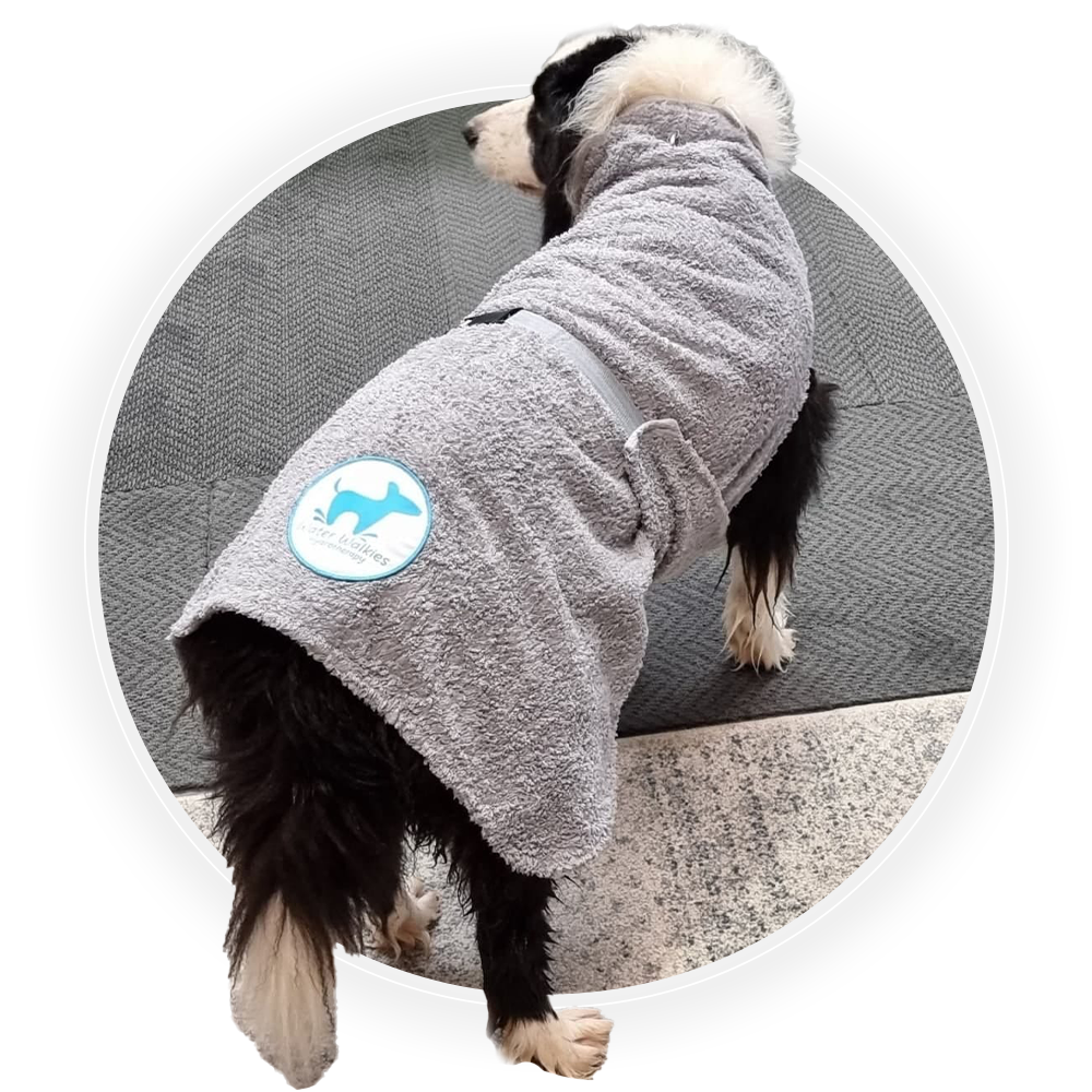 DIY Dog Wash & Retail Water Walkies