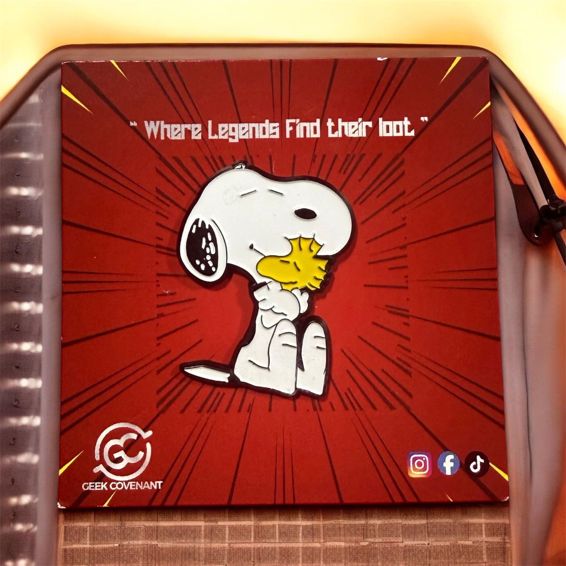 Snoopy Pin