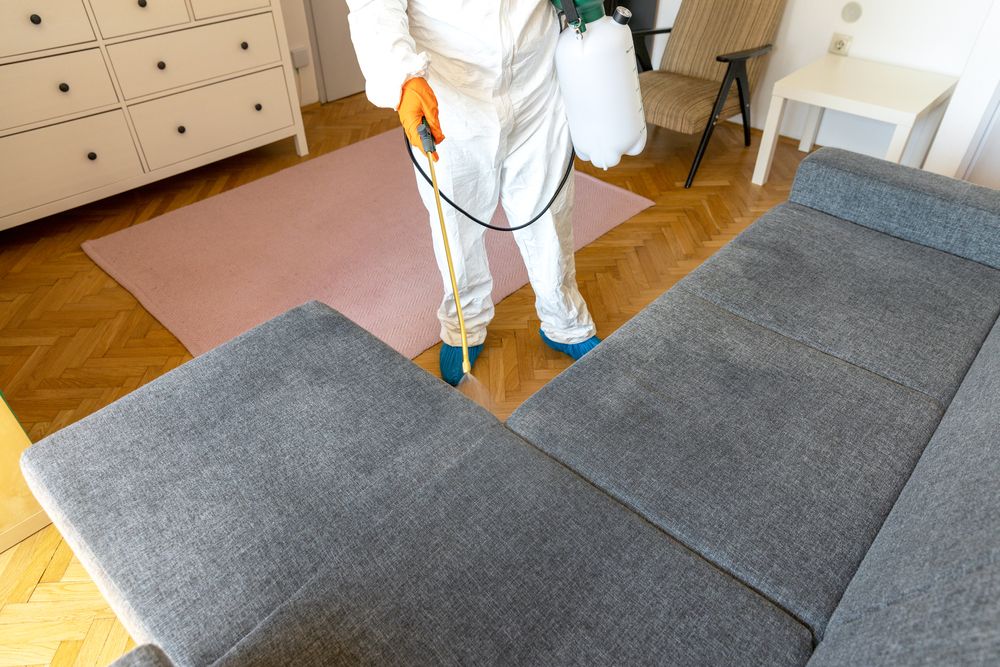 A Man in a Protective Suit is Spraying a Couch in a Living Room — Bug Crazy Pest Control in Taree, NSW