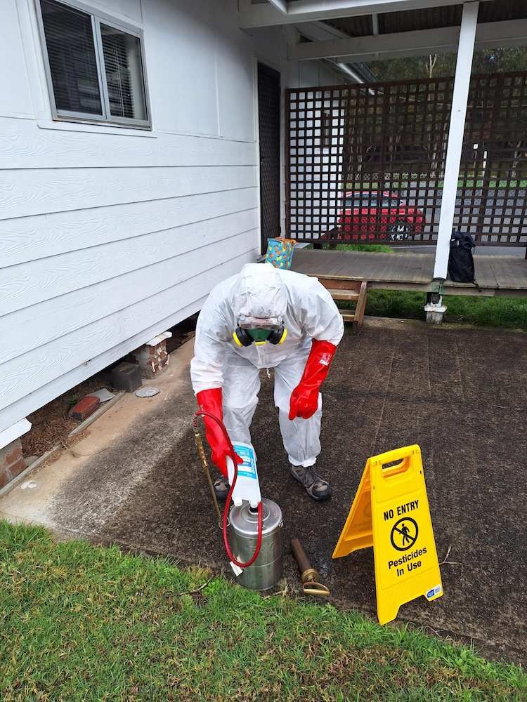A Man in a Protective Suit is Spraying Something in Front of a House — Bug Crazy Pest Control in Port Macquarie, NSW