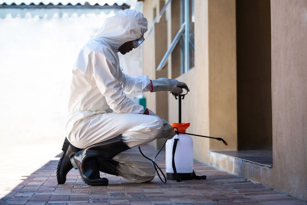 A Man in a Protective Suit is Spraying a Chemical on a Building — Bug Crazy Pest Control in South West Rocks, NSW