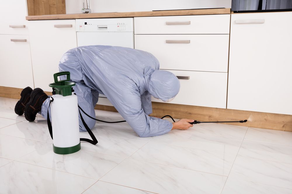 A Man in a Protective Suit is Crawling on the Floor in a Kitchen — Bug Crazy Pest Control in Wauchope, NSW