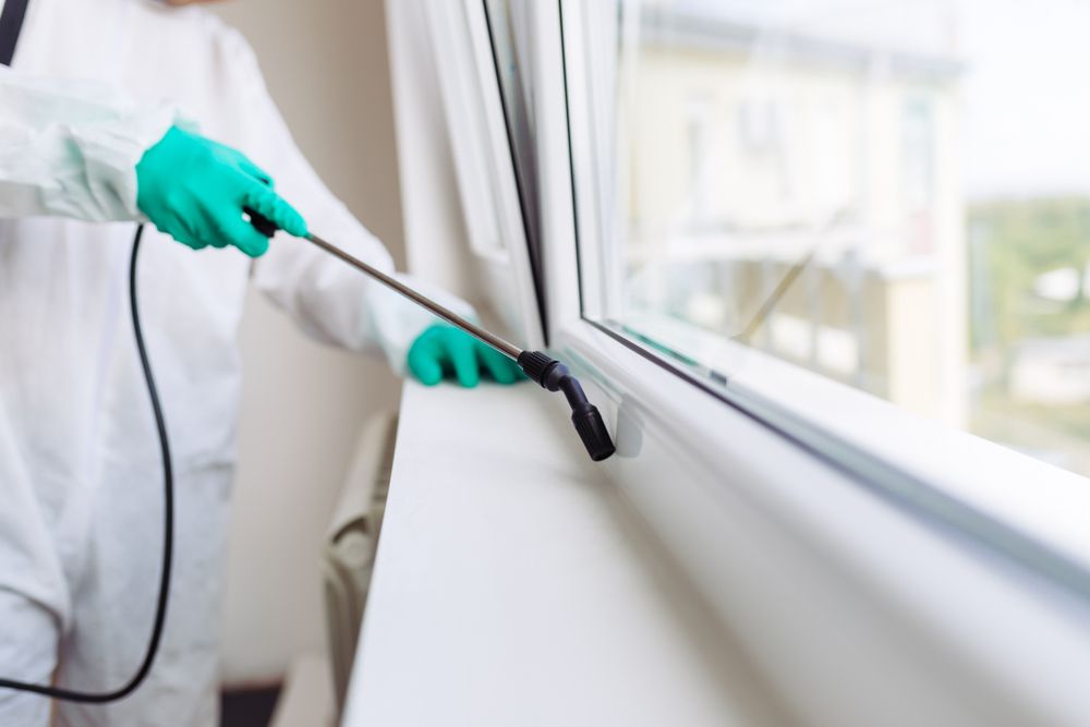 A Man in a Protective Suit is Spraying a Window With a Sprayer — Bug Crazy Pest Control in Port Macquarie, NSW