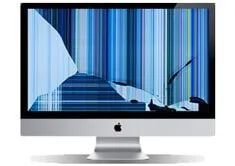Laptop Damaged Screen