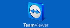 TeamViewer — Southampton, PA — Victor Crime Control