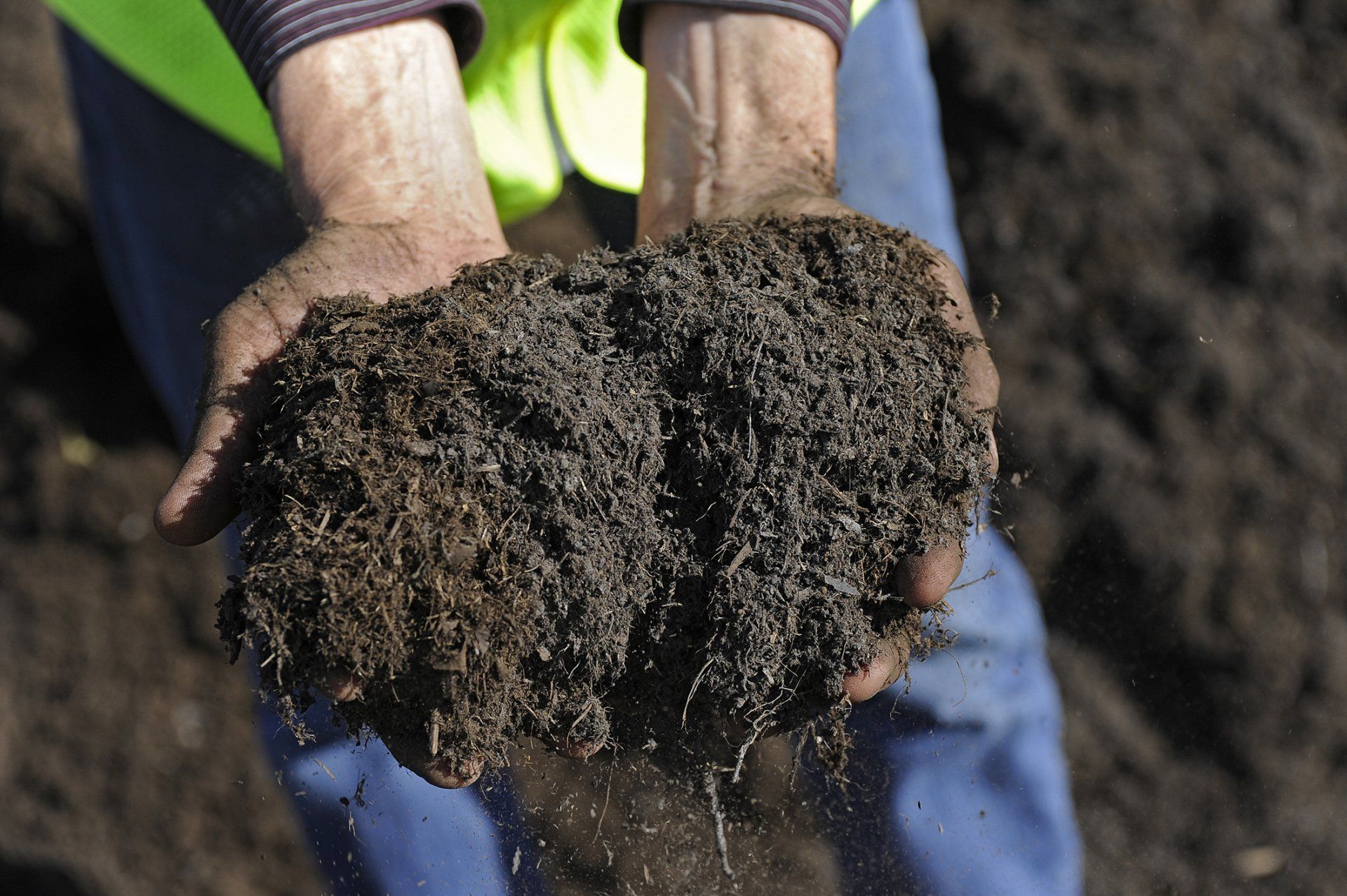 Holding Compost – Holland, OH – City Tree Service
