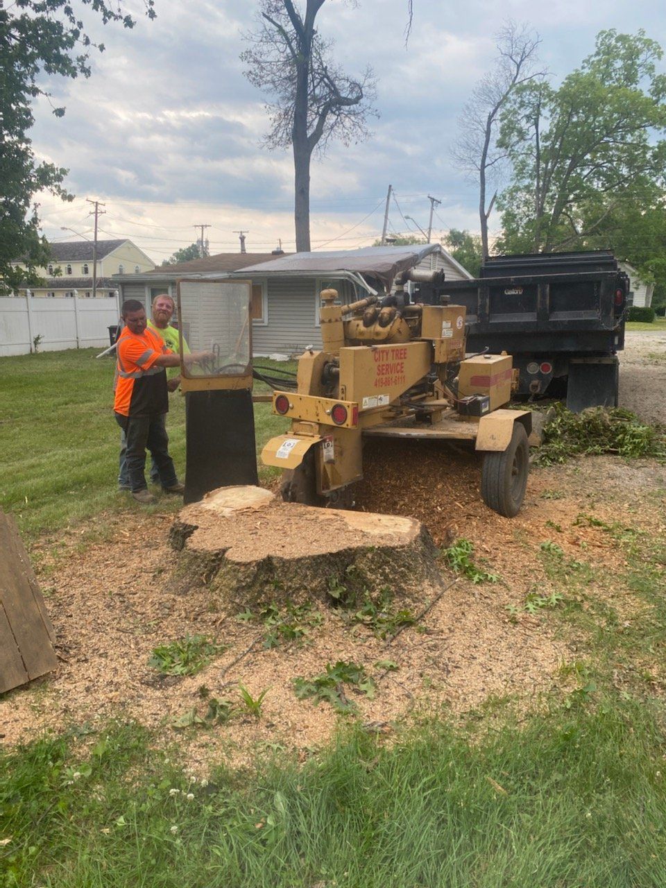 Natural Garden with Persimmon – Holland, OH – City Tree Service