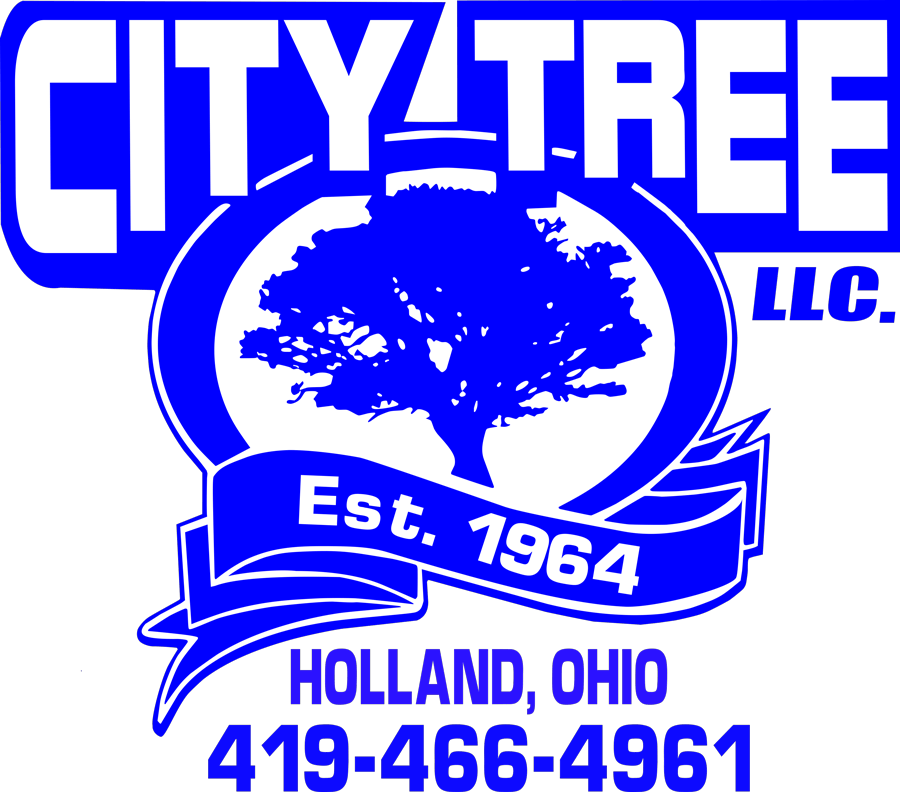 City Tree Service City Tree Service