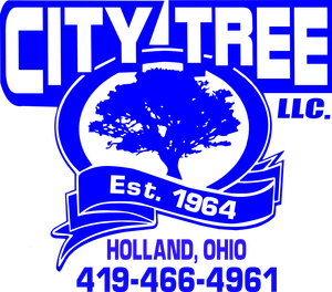 City Tree Service City Tree Service