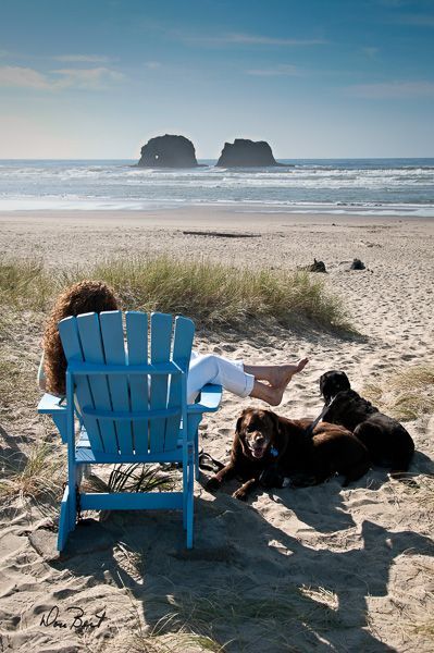 Woman relaxing in blue chair on beach with two dogs, looking at ocean with rock formations.