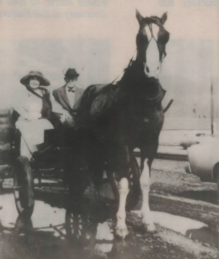 Person standing beside a horse-drawn carriage on a street, with a large horse in the foreground