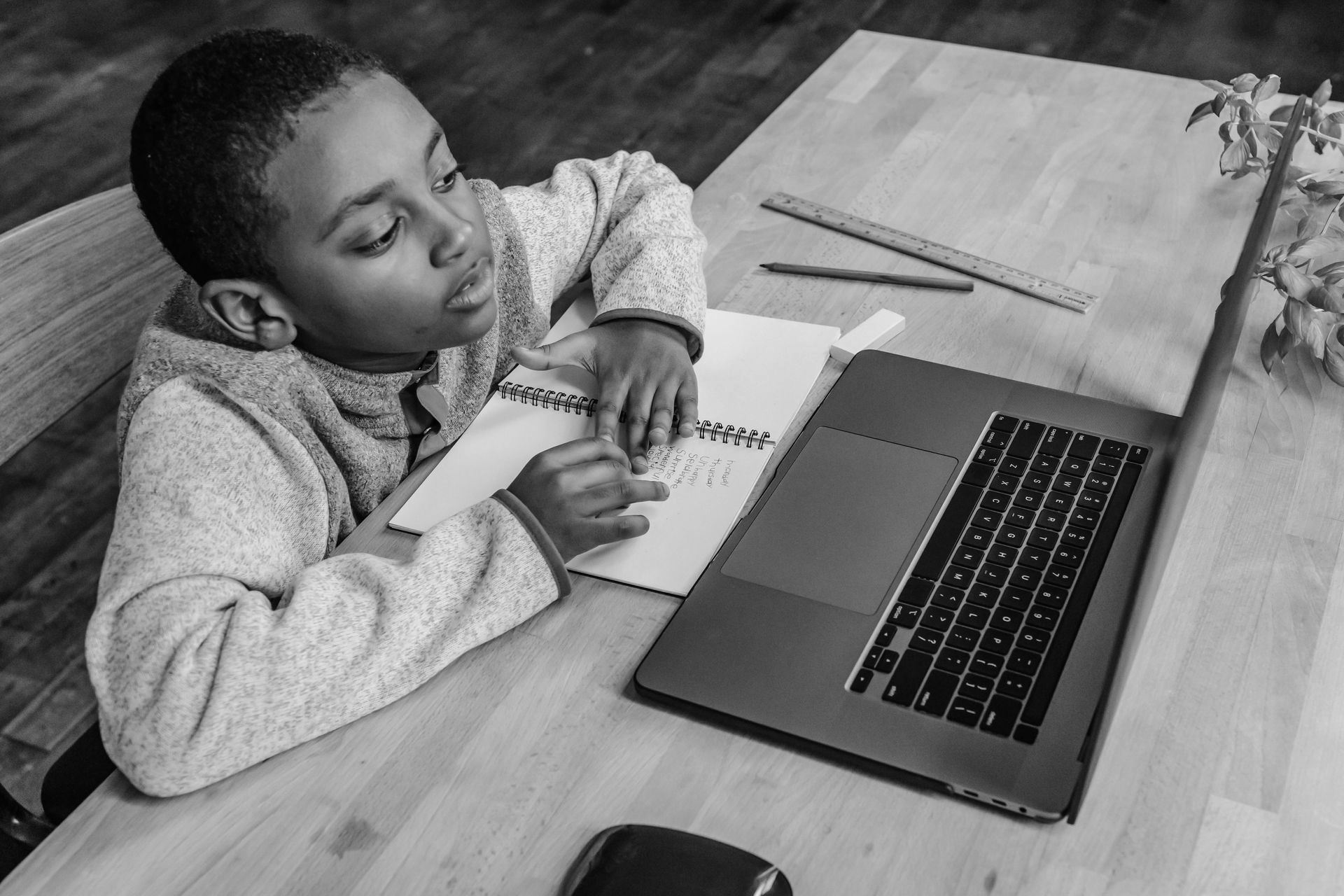 Boy looking at laptop and notebook, wooden table with pencil and plant.