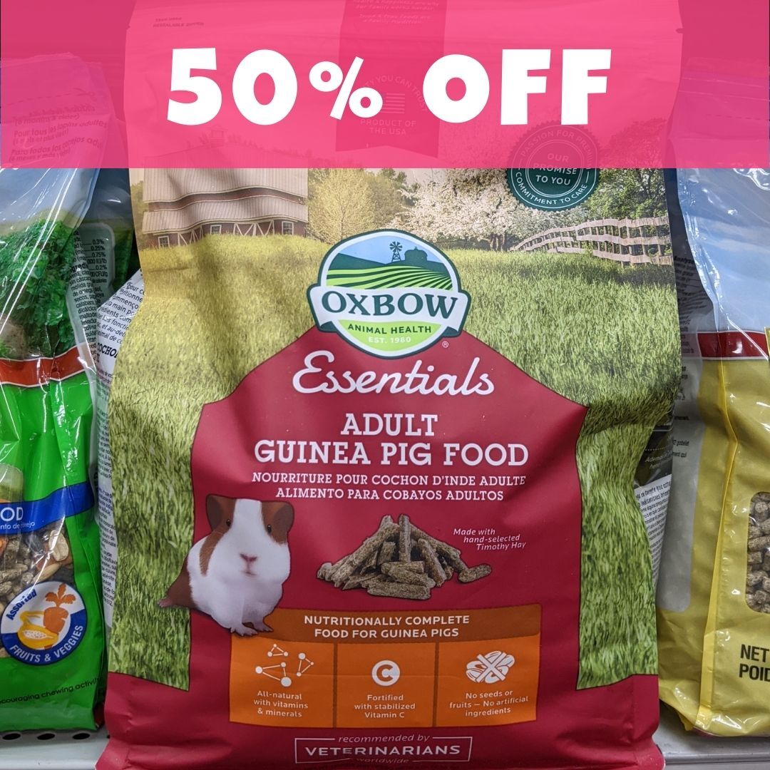 Small Animal Food 50 OFF Kaytee, Oxbow, Sunseed Pet Wize