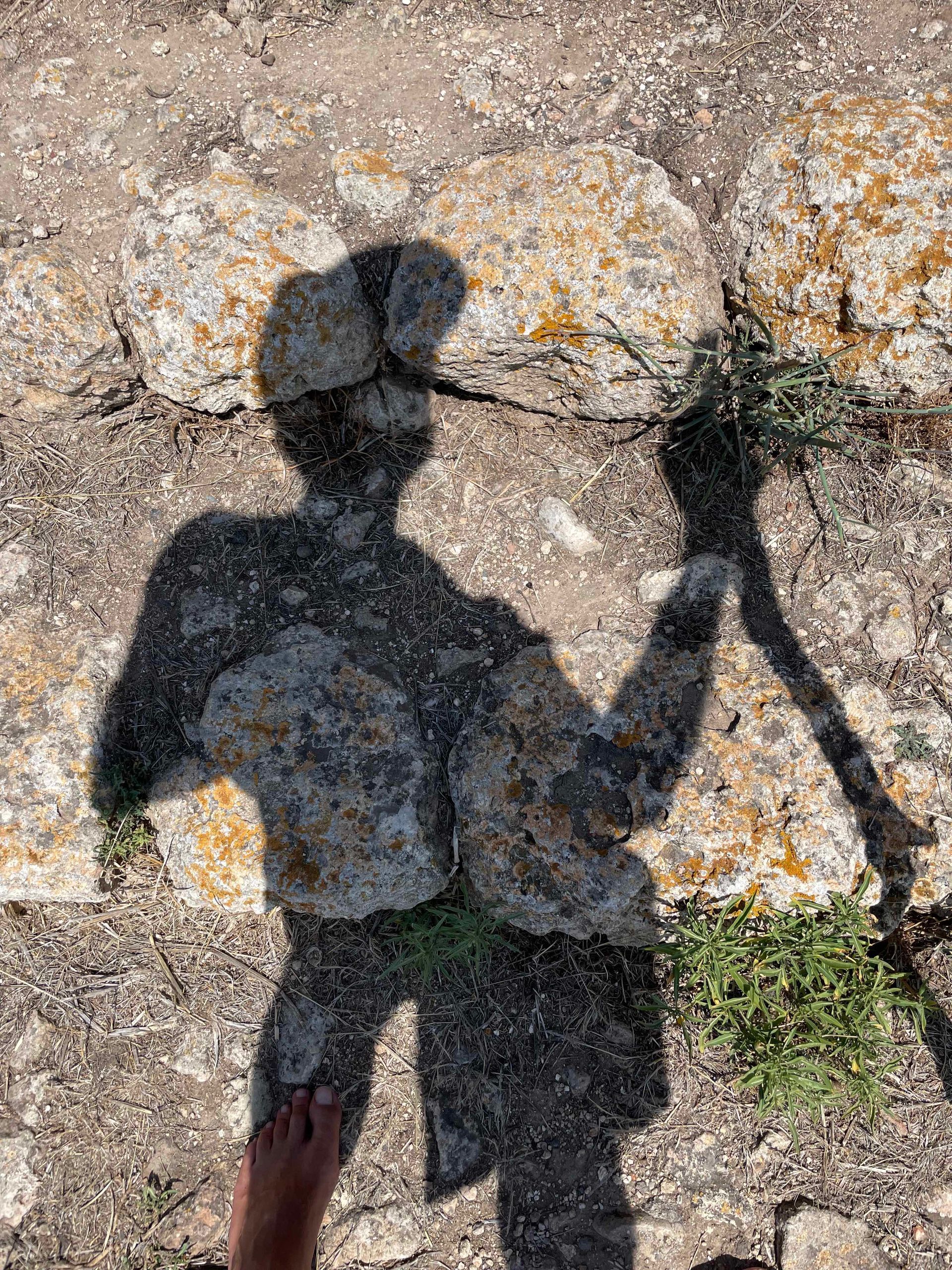 Shadow Training Package