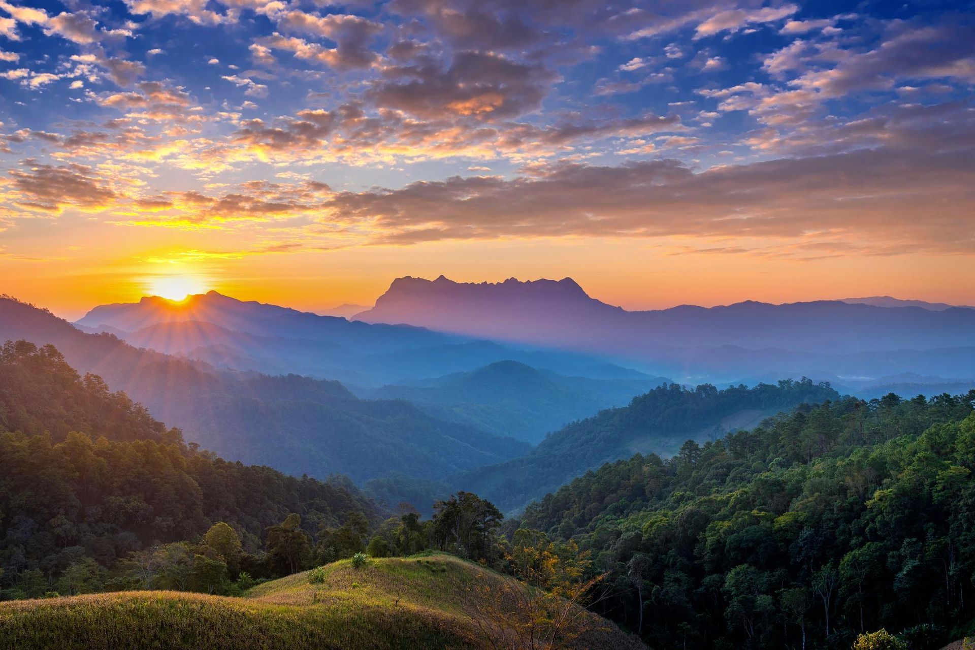 The sun is setting over the mountains with trees in the foreground.