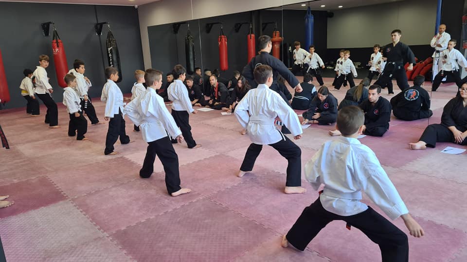 Martial Arts, Kids Karate, Zen Do Kai, Muay Thai Kickboxing, Krav Maga