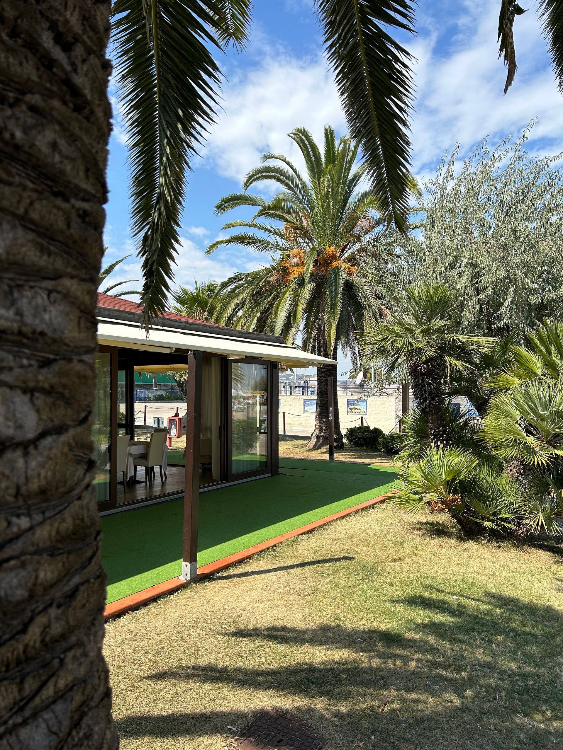Le palme incorniciano un edificio sul mare con un prato verde. Cielo terso visibile.