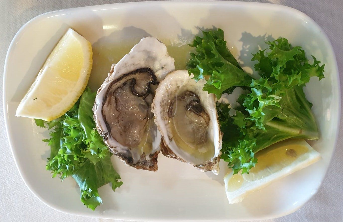 Ostriche su mezzo guscio con spicchi di limone e lattuga su un piatto bianco.