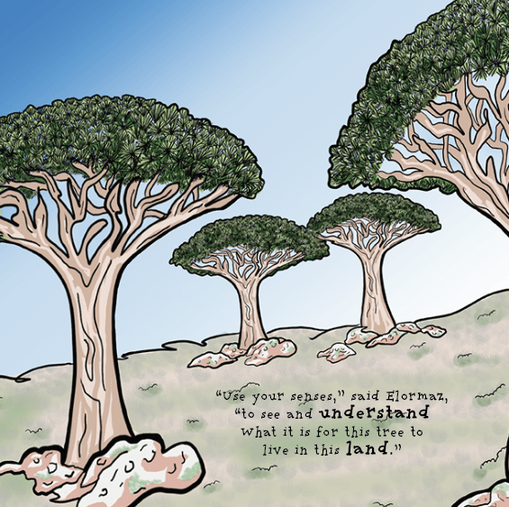 A drawing of trees with a quote that says
