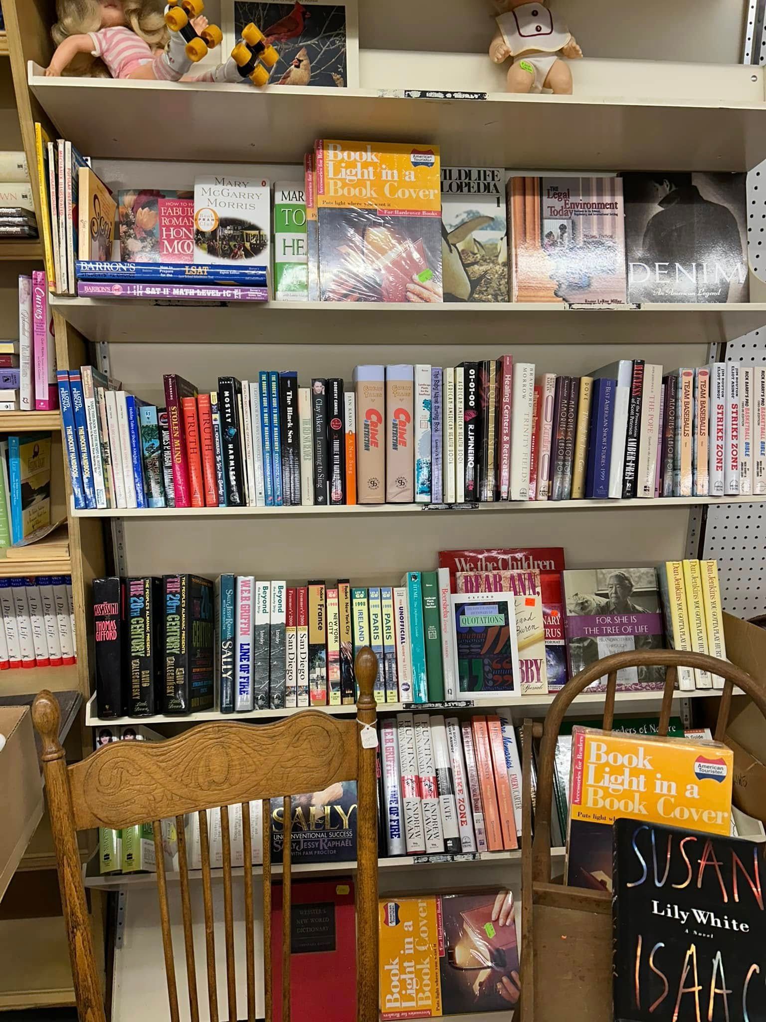 Bookshelves filled with books and plush toys in a cozy room, with a chair and basket in the foreground