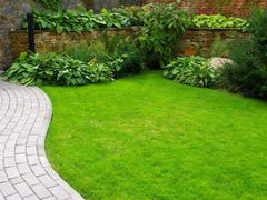 Curved stone path beside a lush green lawn and dense garden plants along a brick wall