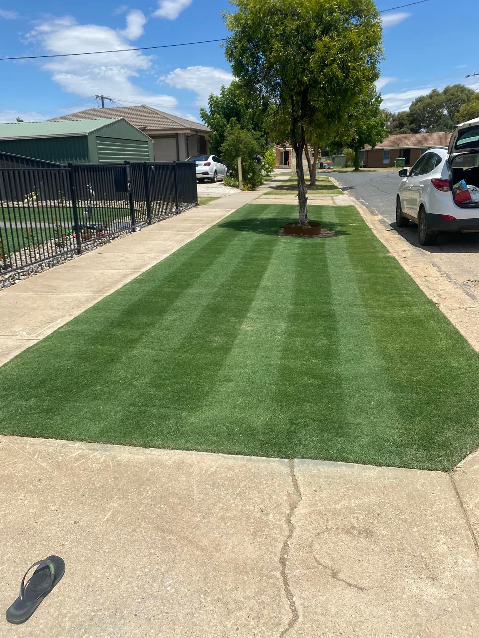 Freshly striped green lawn along a driveway with a tree, fence, and parked cars on a sunny day