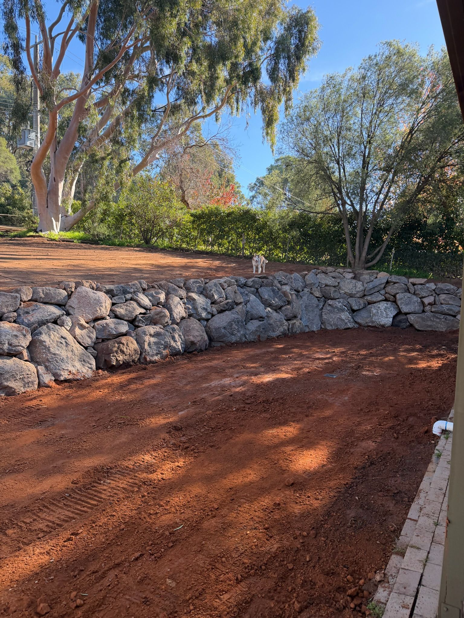 Rock garden with red mulch, stone retaining wall, and tall trees under a clear blue sky