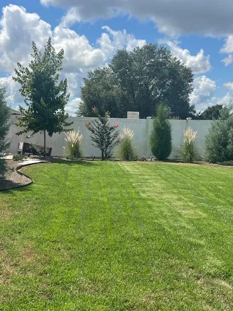Lawn with various trees, bushes and ornamental grasses along a white wall against a blue sky with clouds.