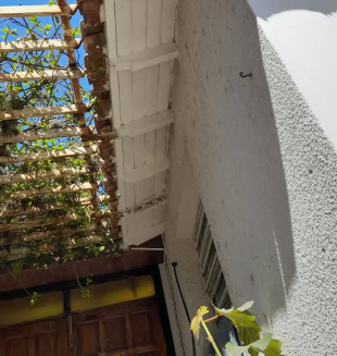 Vista invertida de un porche con techo blanco, puerta de madera y p&eacute;rgola cubierta de enredaderas verdes.