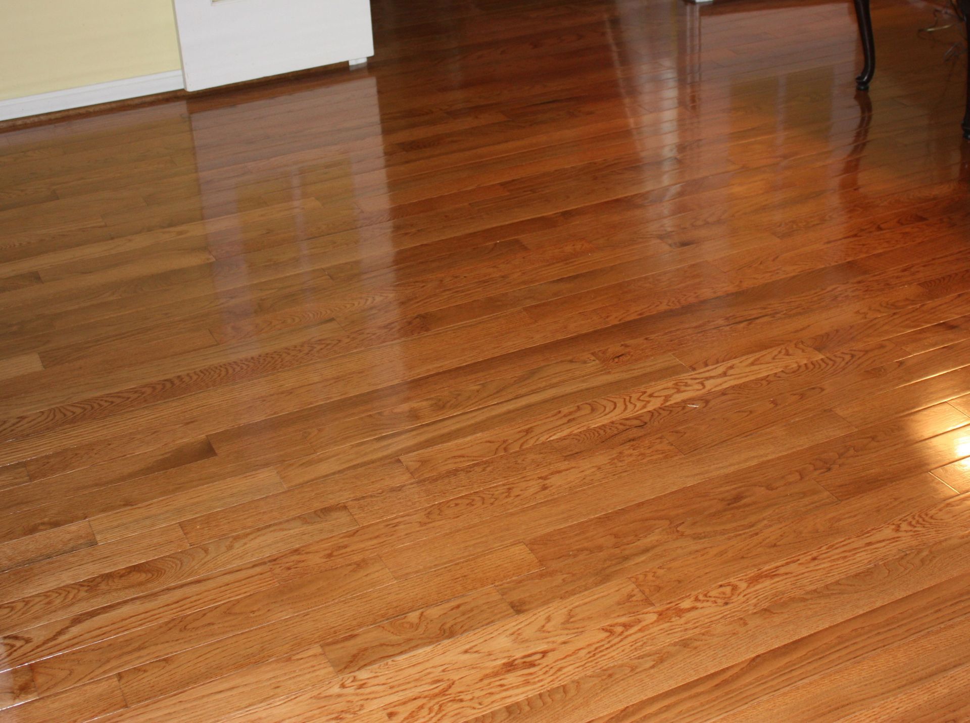 Shiny, reddish-brown hardwood floor reflecting light; view at a slight angle.