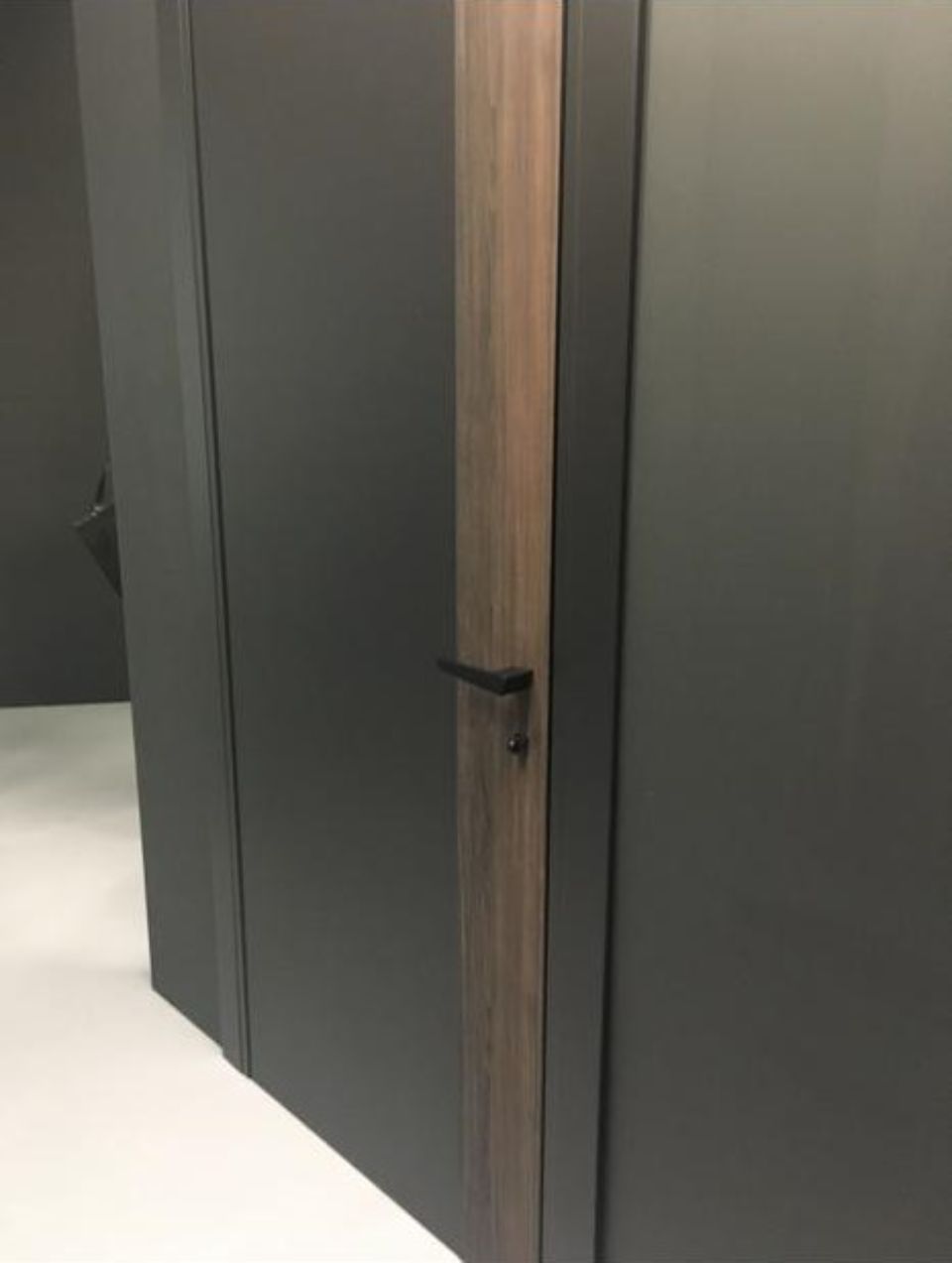 Black interior door