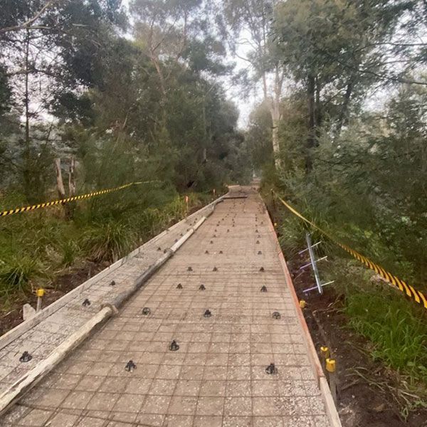 A concrete walkway is being built in the middle of a forest.