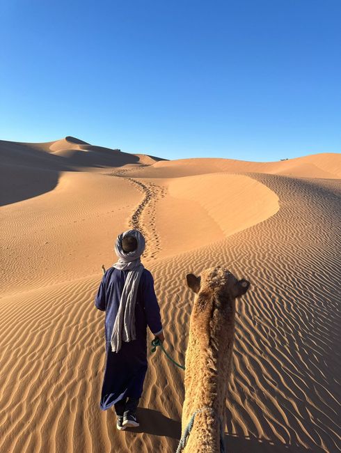 The warm colors of a Moroccan sunset reflecting on the desert dunes.