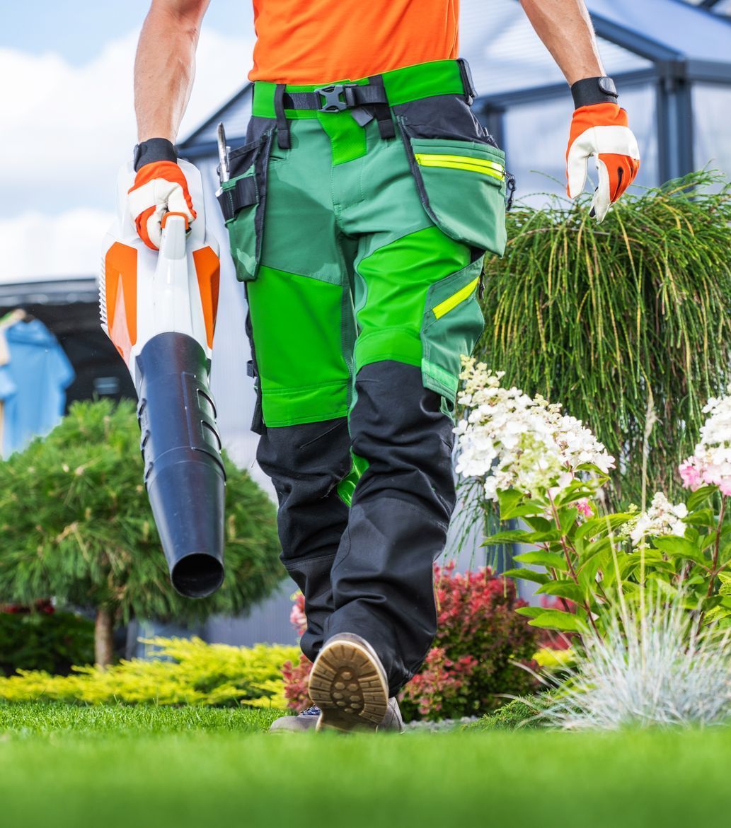 A man is walking through a garden holding a blower.