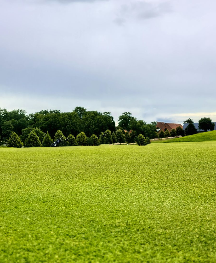 A lush green field with trees in the background on a cloudy day.